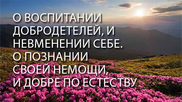 Смотреть видео