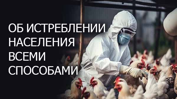 Смотреть видео