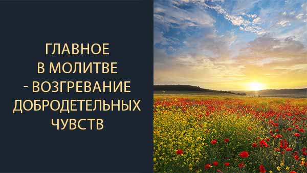 Смотреть видео