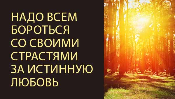 Смотреть видео