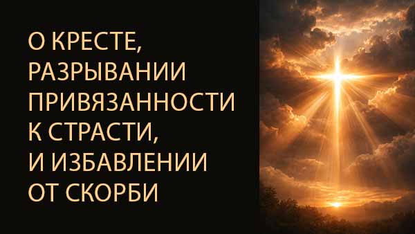 Смотреть видео