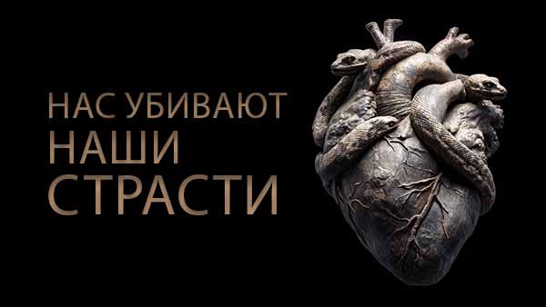 Смотреть видео