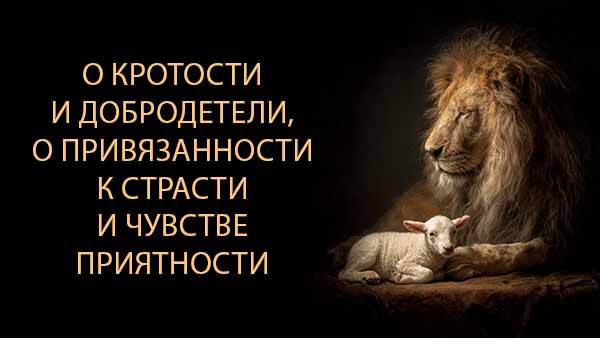 Смотреть видео