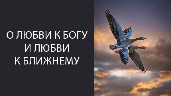 Смотреть видео