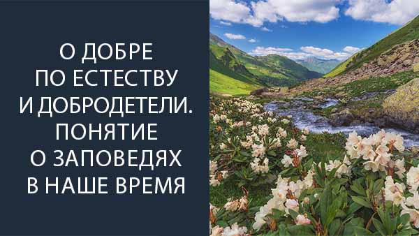 Смотреть видео