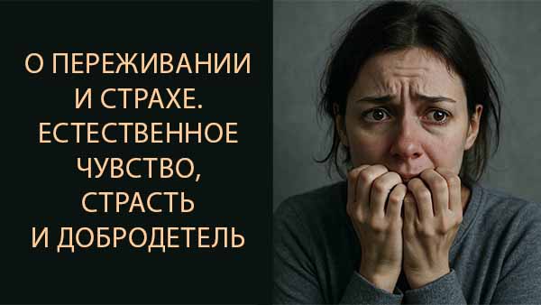 Смотреть видео