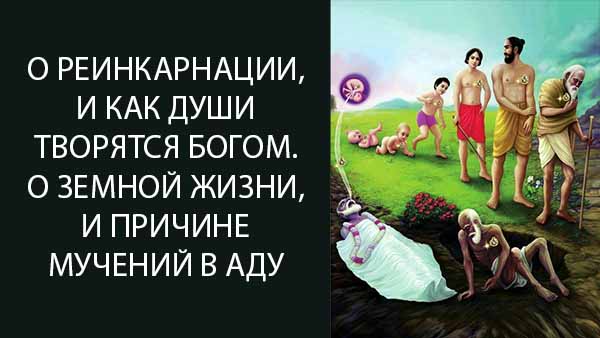 Смотреть видео