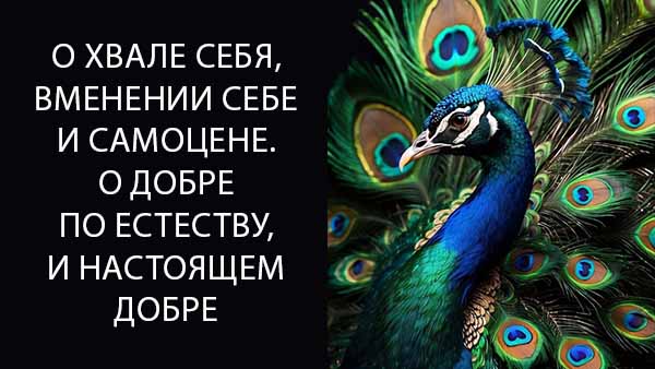 Смотреть видео