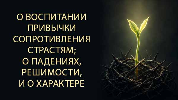 Смотреть видео