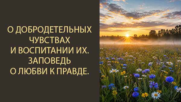Смотреть видео
