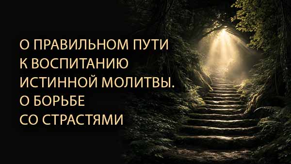 Смотреть видео