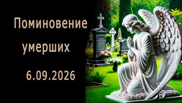 Смотреть видео