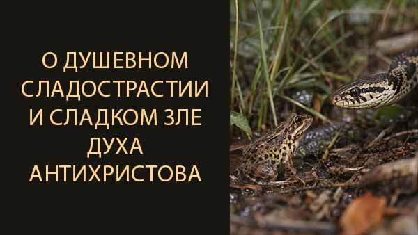 Смотреть видео