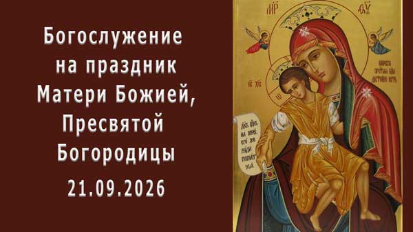 Смотреть видео