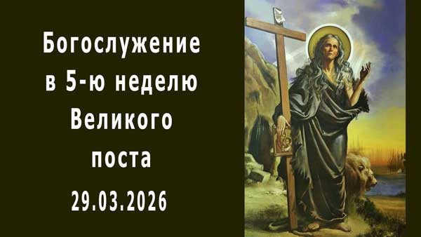 Смотреть видео