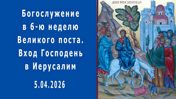 Смотреть видео