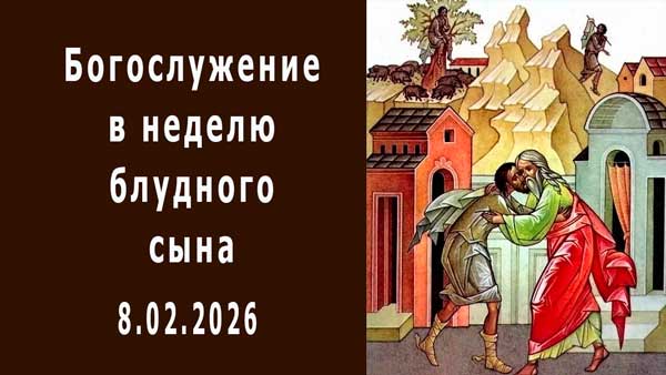 Смотреть видео