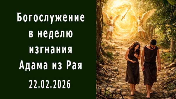 Смотреть видео