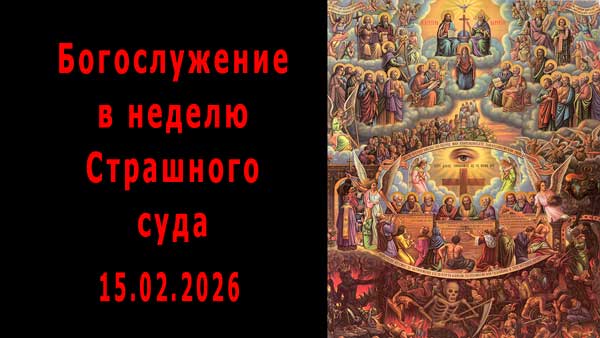 Смотреть видео