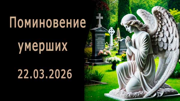 Смотреть видео