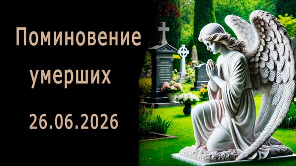 Смотреть видео