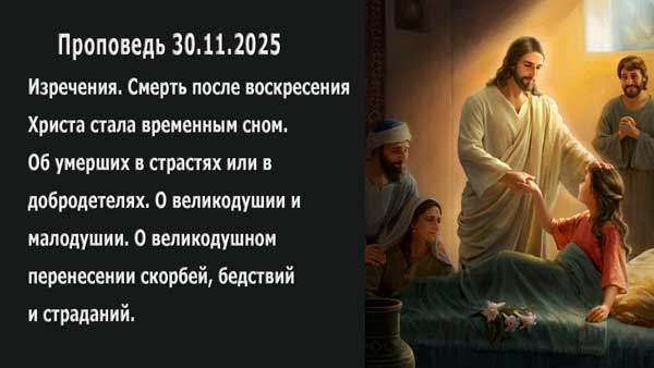 Смотреть видео