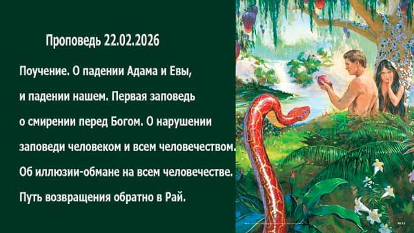 Смотреть видео